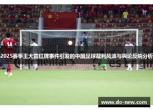 2025赛季王大雷红牌事件引发的中国足球裁判风波与舆论反响分析